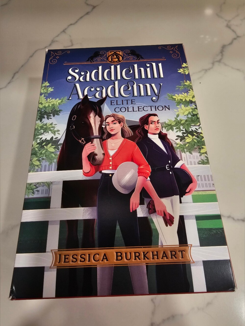 Saddle Hill Academy 4 Book Set By Jessica Burkhart